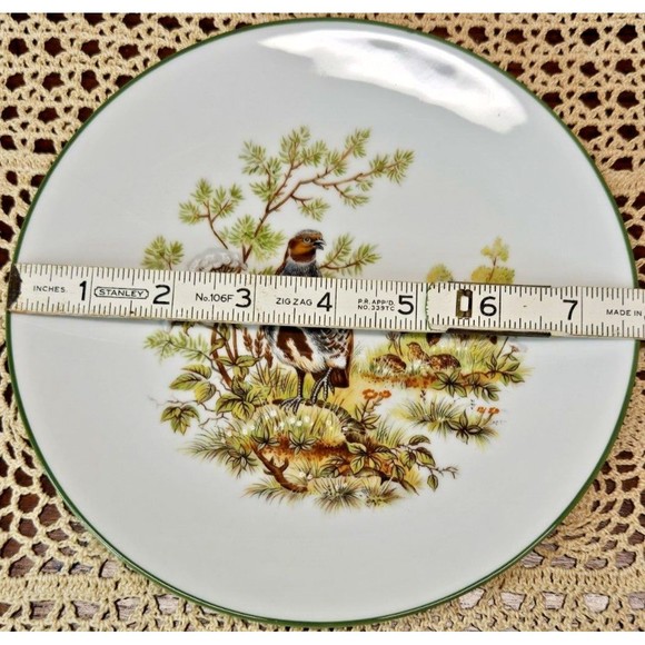 Pair of Bareuther Waldsassen Bavaria Germany Plate #254 Quail & Pheasant (read) - Picture 6 of 6